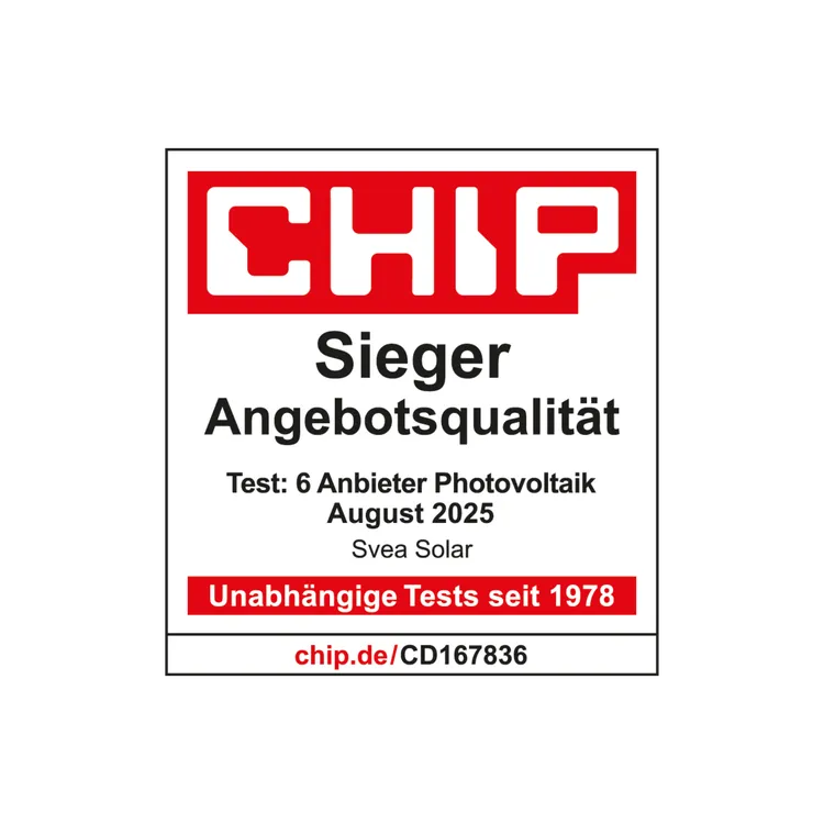 Chip