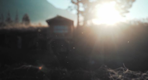Vanliga myter om solenergi - vad är sant och vad är falskt?