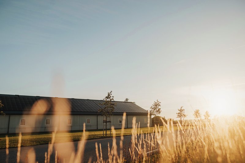 En installation av solceller med fält framför