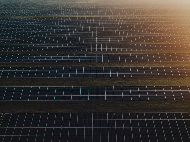 Freiflächen-Photovoltaik auf einer Weide.