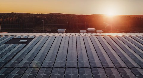 Pourquoi envisager des panneaux solaires pour votre entreprise ?