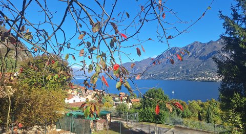Cer esempi: CER Valbrona e Alto Lambro