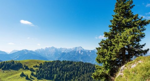 Fotovoltaico in Friuli Venezia Giulia