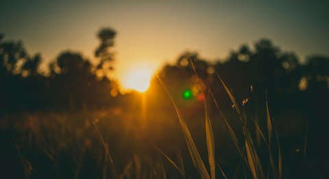L’impatto ambientale dei pannelli fotovoltaici
