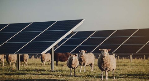 Tendances en matière d’énergie solaire en 2023